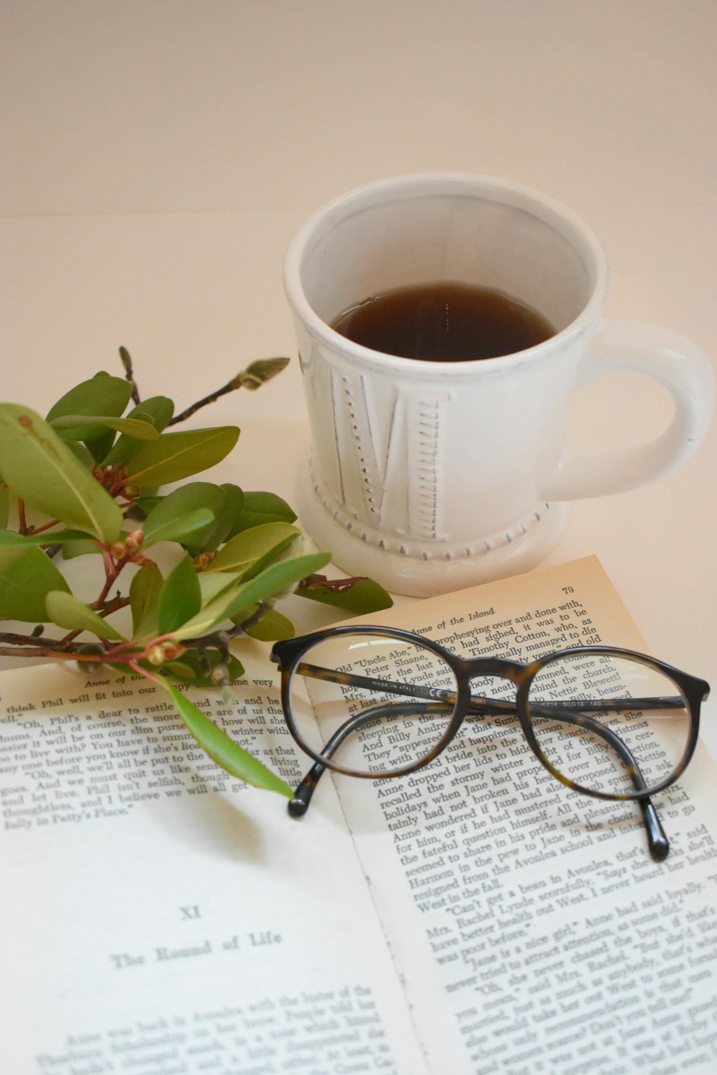 The Creative Journey: From Concept to Published Book